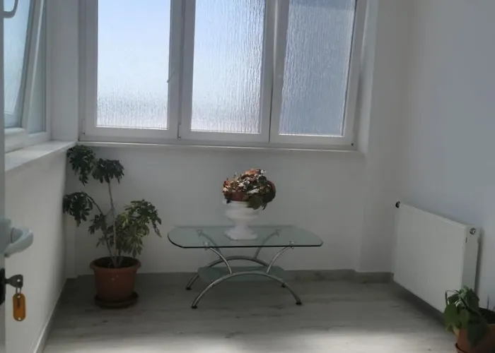 Marija * 特罗吉尔