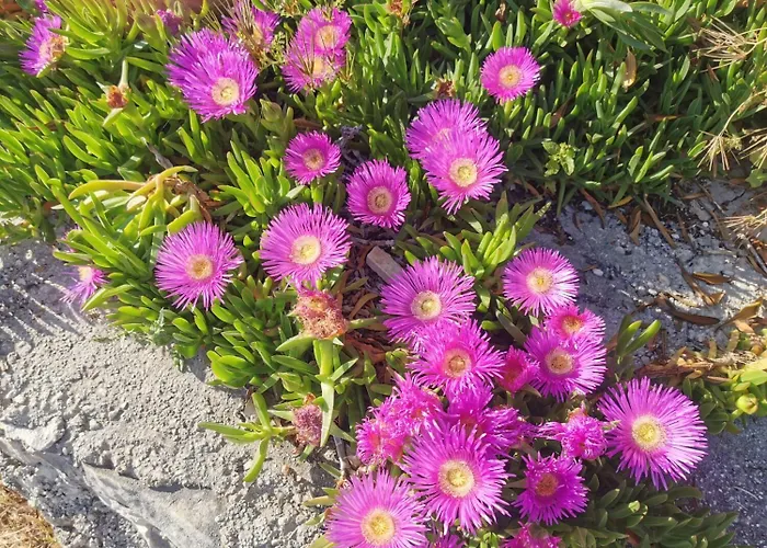 Marija 公寓 特罗吉尔