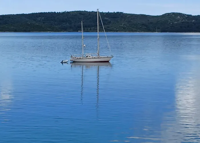 公寓 Marija 特罗吉尔